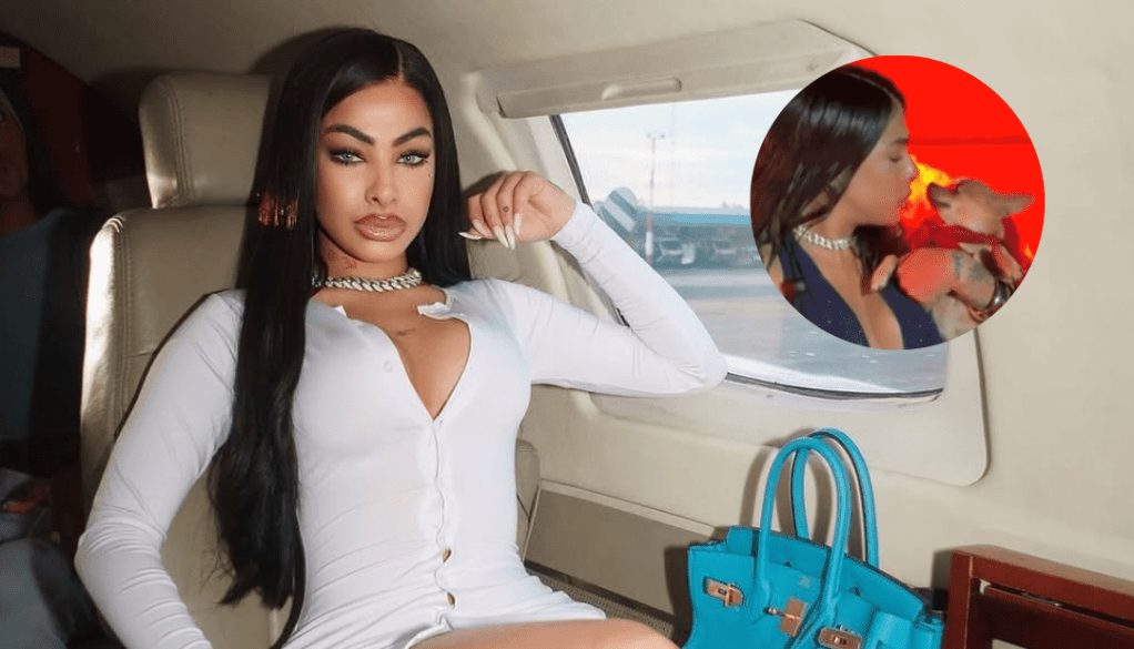 Yailin ‘La Más Viral’ sufre mordisco de un chihuahua en concierto en&nbsp;Venezuela